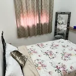 Nice Apartment