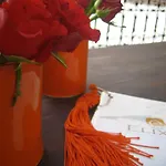 Riad Elixir