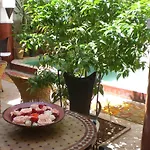 Ryad Dar Ganou