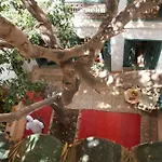 Riad Dar Zitouna en Exclusivité