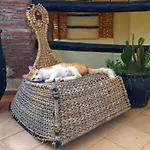 Riad Nejma Lounge
