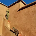 Riad Terracota