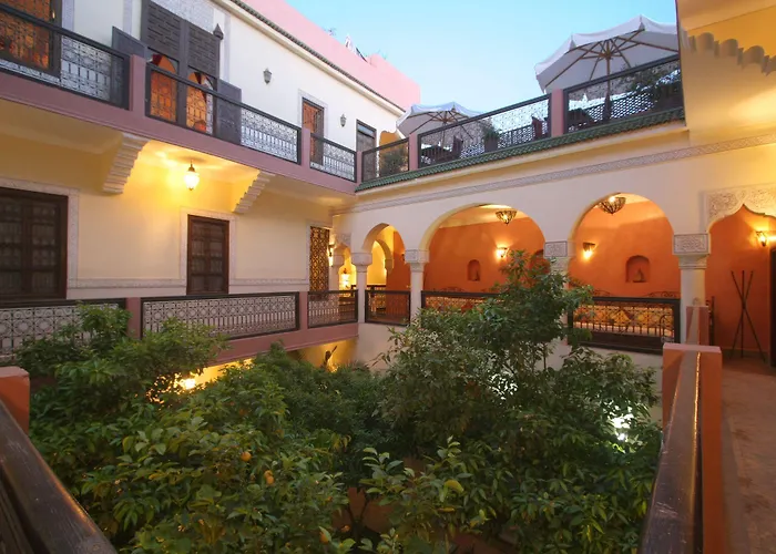 Riad Sidi Ayoub
