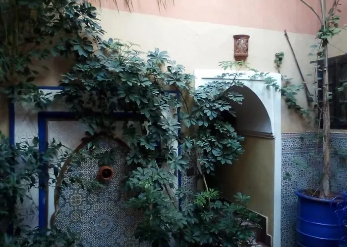 Riad Jakoura