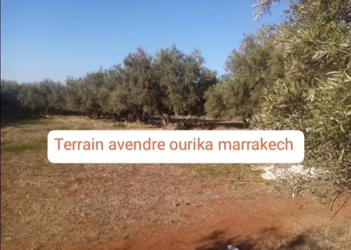 Terrain Avendre Pres De Marrakech 19 Km