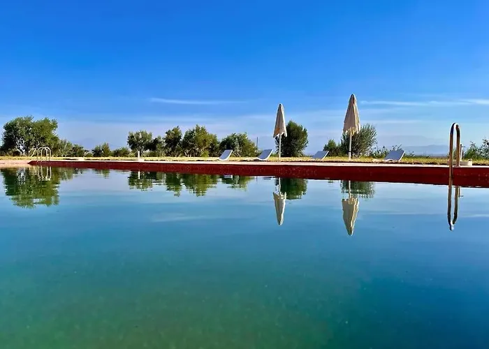 Villa Oliveraie Prestige - 50 Hectares Prives