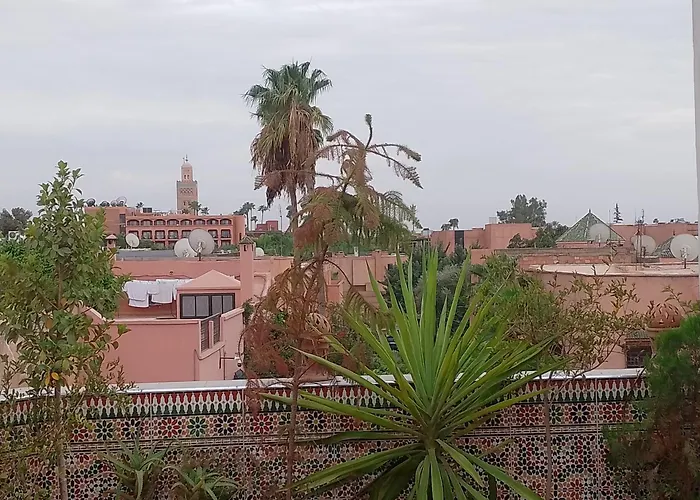 Falafel Rooftop House