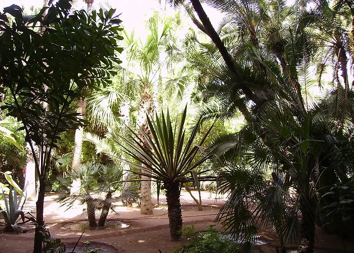Appart Avec Vue Jardin/Majorelle