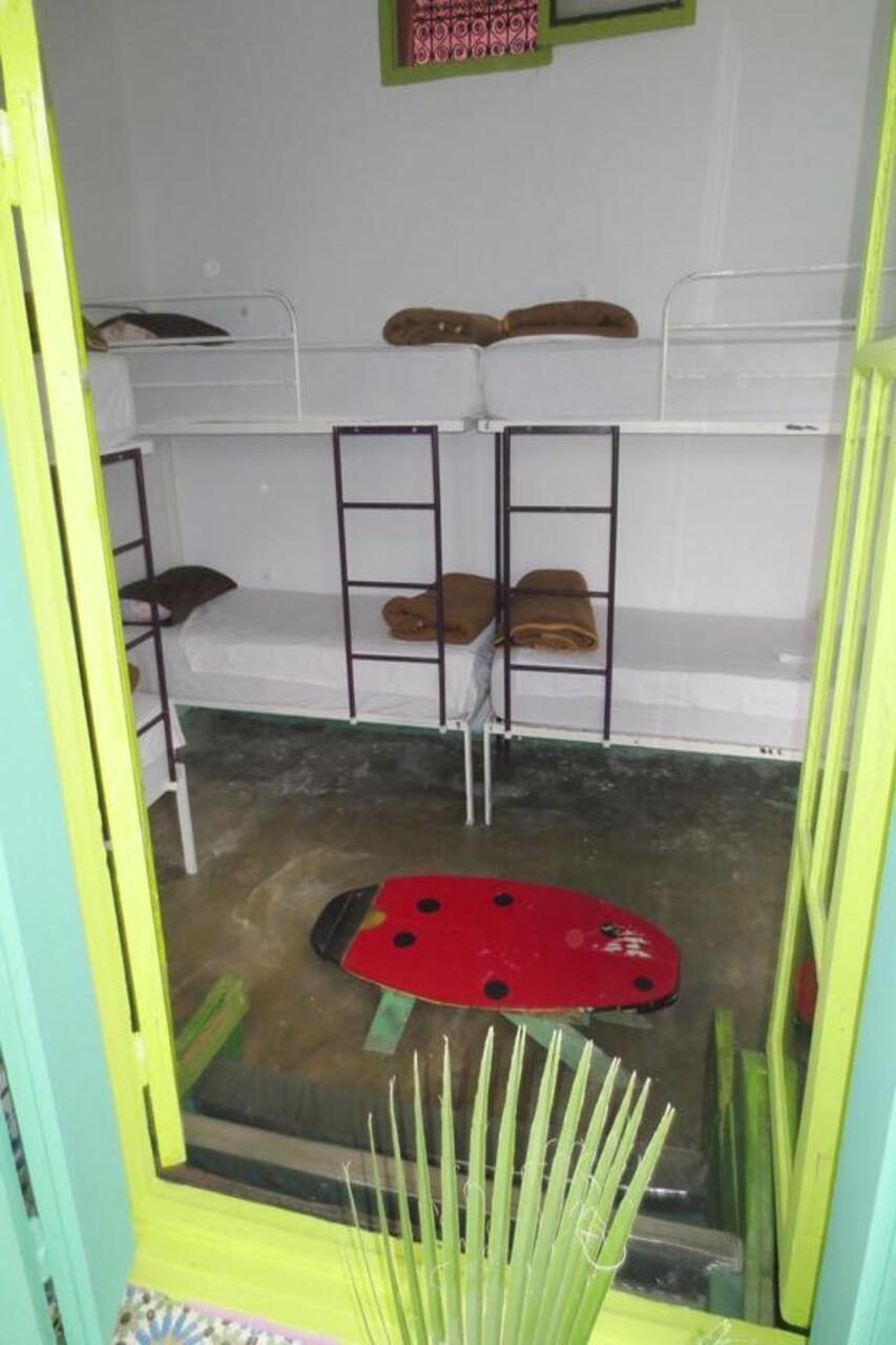 Hostal Kaktus *