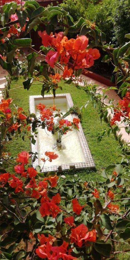 Terracota Riad Marrakesh