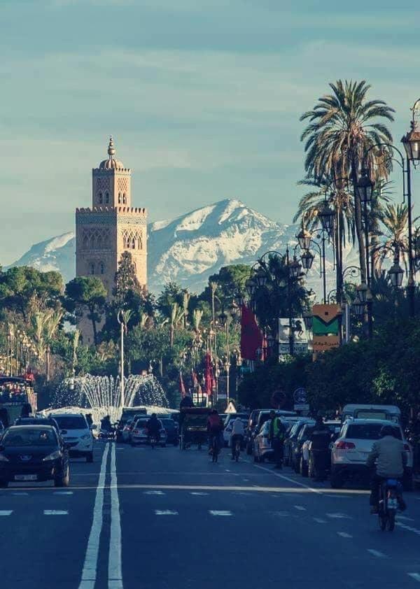 Riad Authentic Moroccan Charm In Marrakech Terrace Marrakesh