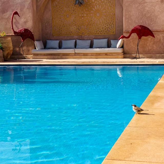 Bed & Breakfast 55 Marrakech