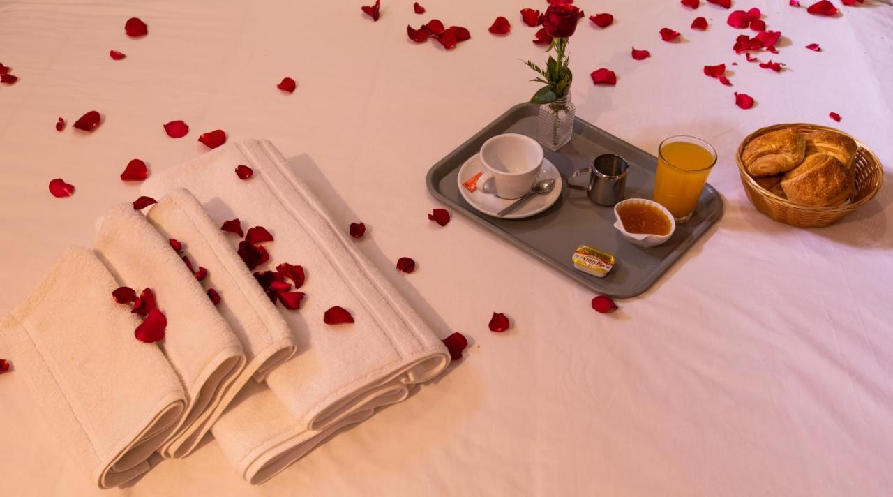 Hotel Toulousain 3*
