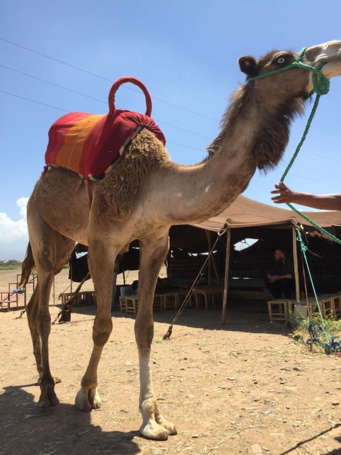 Le Marrakech Berrima Marrakesch