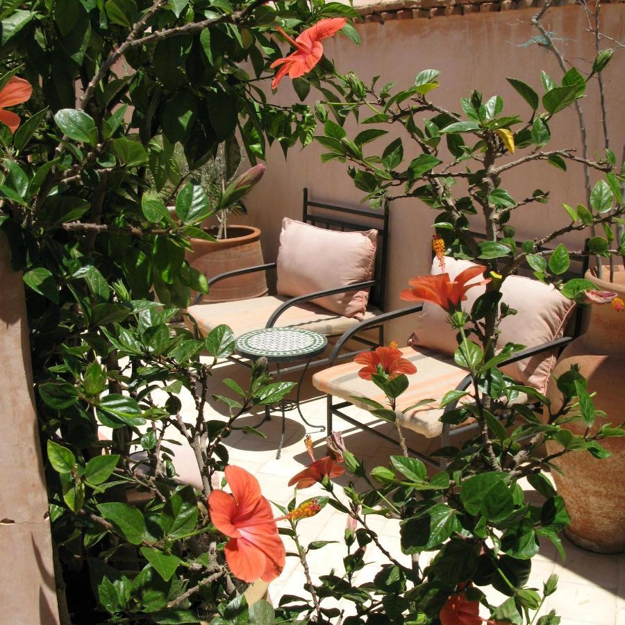 Naila Marrakech