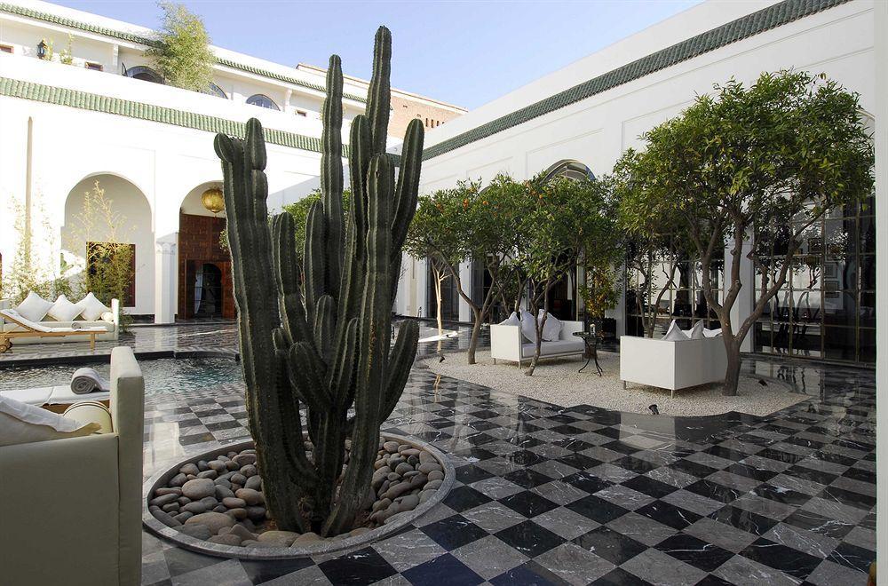 Lotus Ambre * Marrakesh