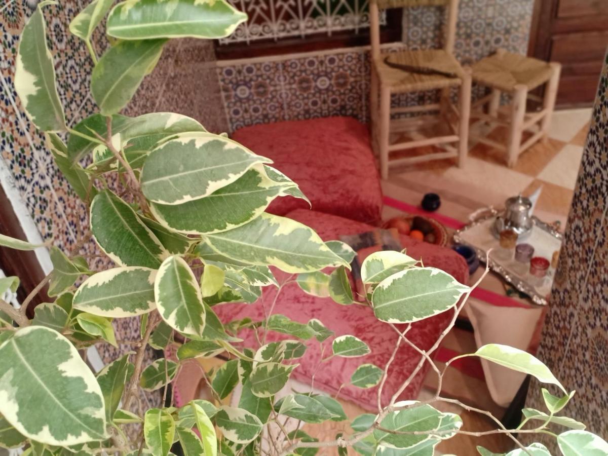 Patrice Bed and breakfast Marrakesh