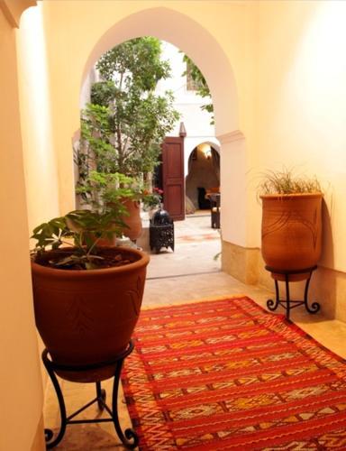 Riad Dar Rania