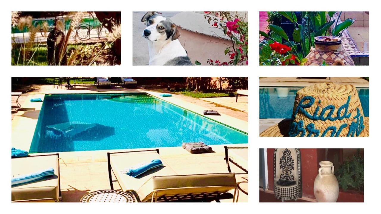 Riad Terracota Marrakesh