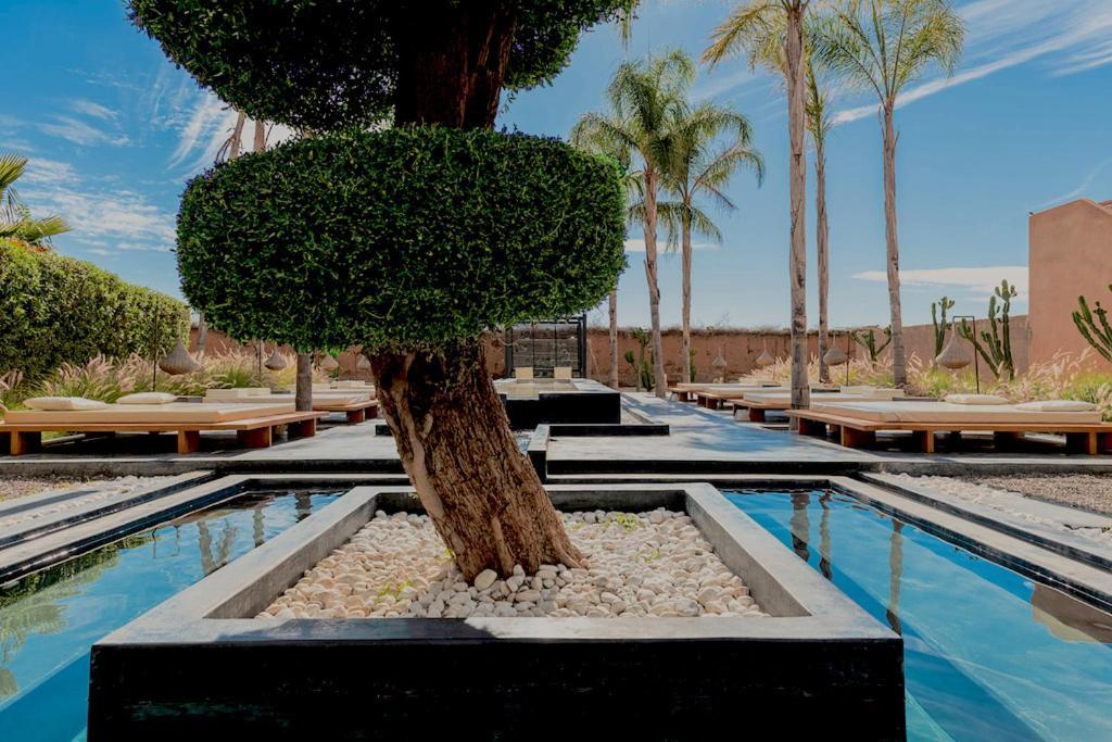 Taj Marrakech Marrakesh