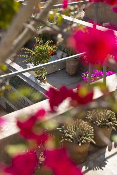 Guest house Dar One 3*