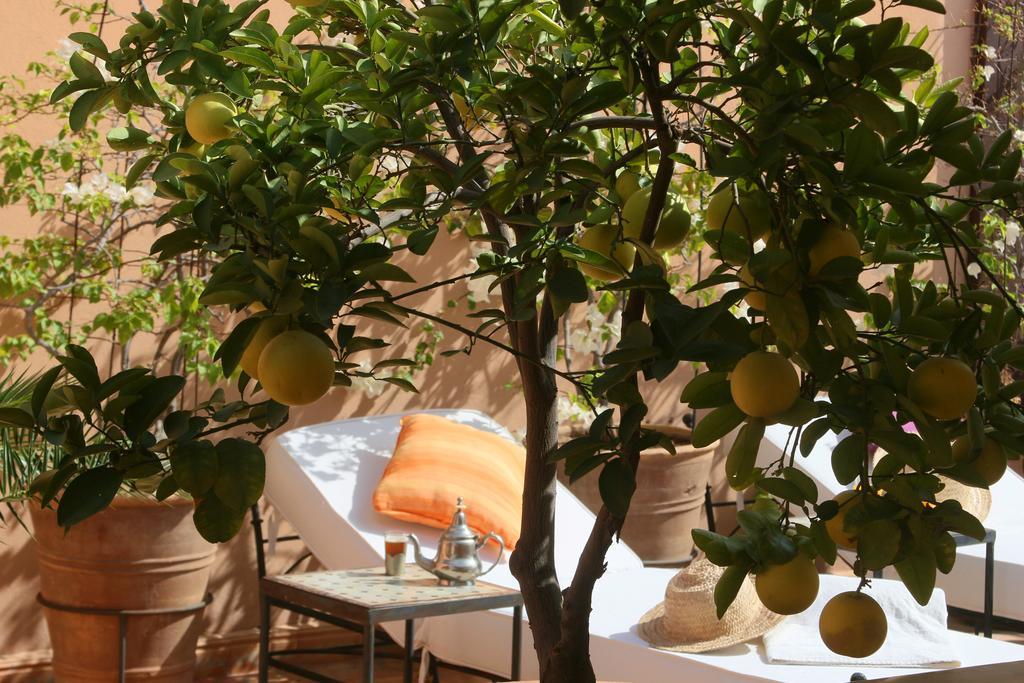 Andalouse Riad 3*