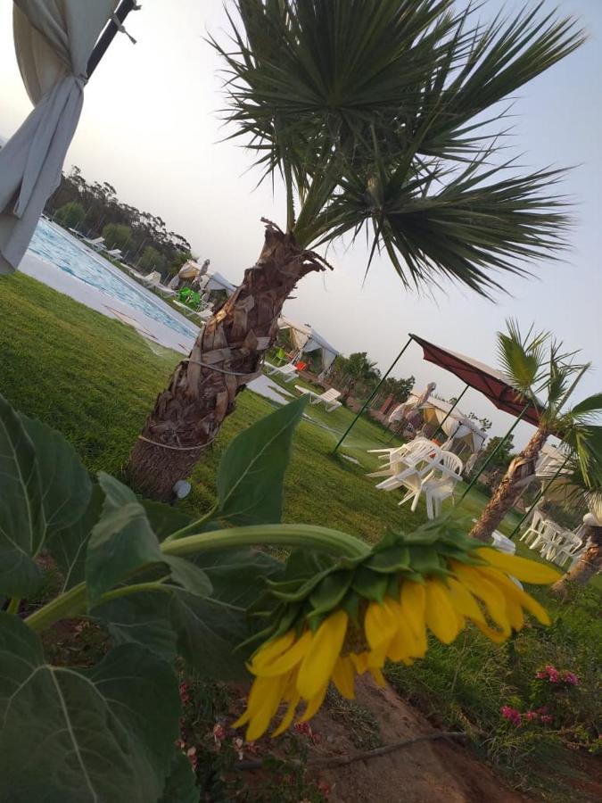 Neuf Avec Piscine Et Jardin Bio, Excursions Quads Appartement