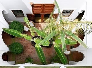 Les Bougainvilliers Marrakesh