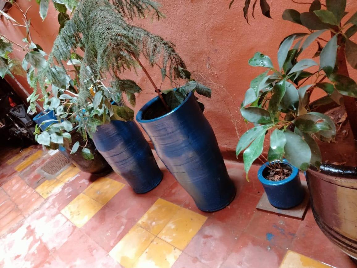 Sabbah Riad