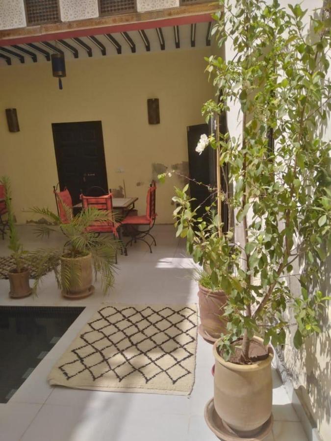 Jeremy * Marrakesh