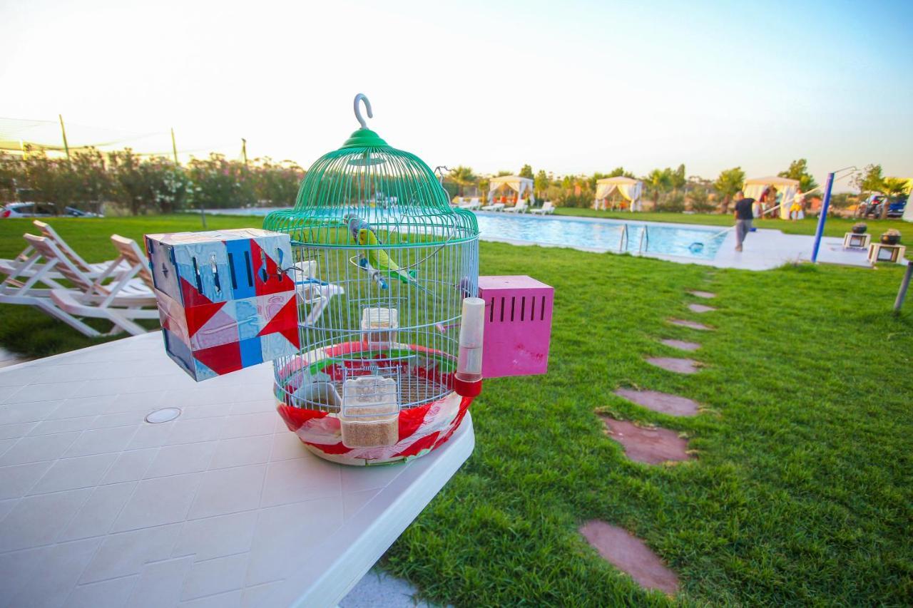Neuf Entouré De Verdure, Ensoleillé Apartamento Marrakesh