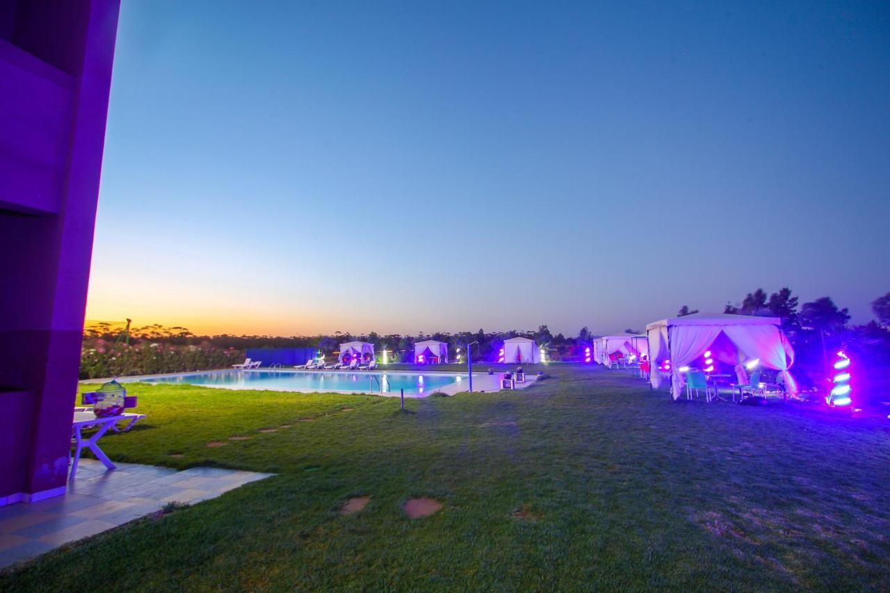 Neuf Avec Piscine Et Jardin Bio, Excursions Quads Appartement