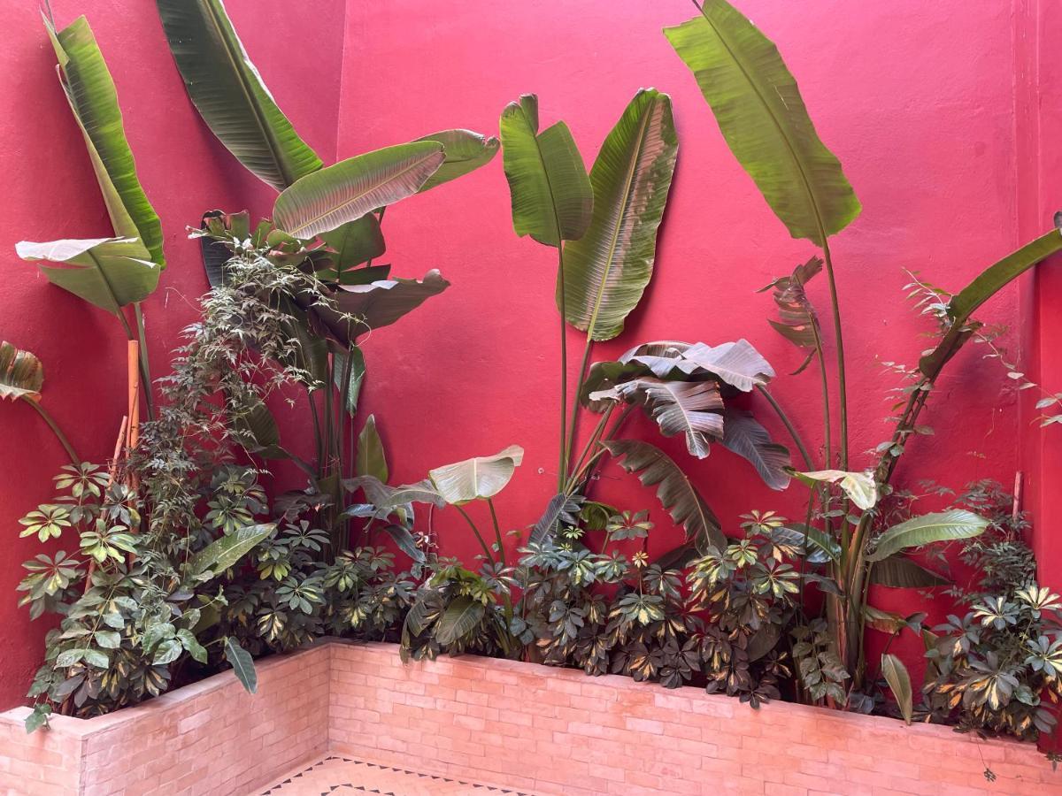 L'escale De Marrakech Riad Marrakesh