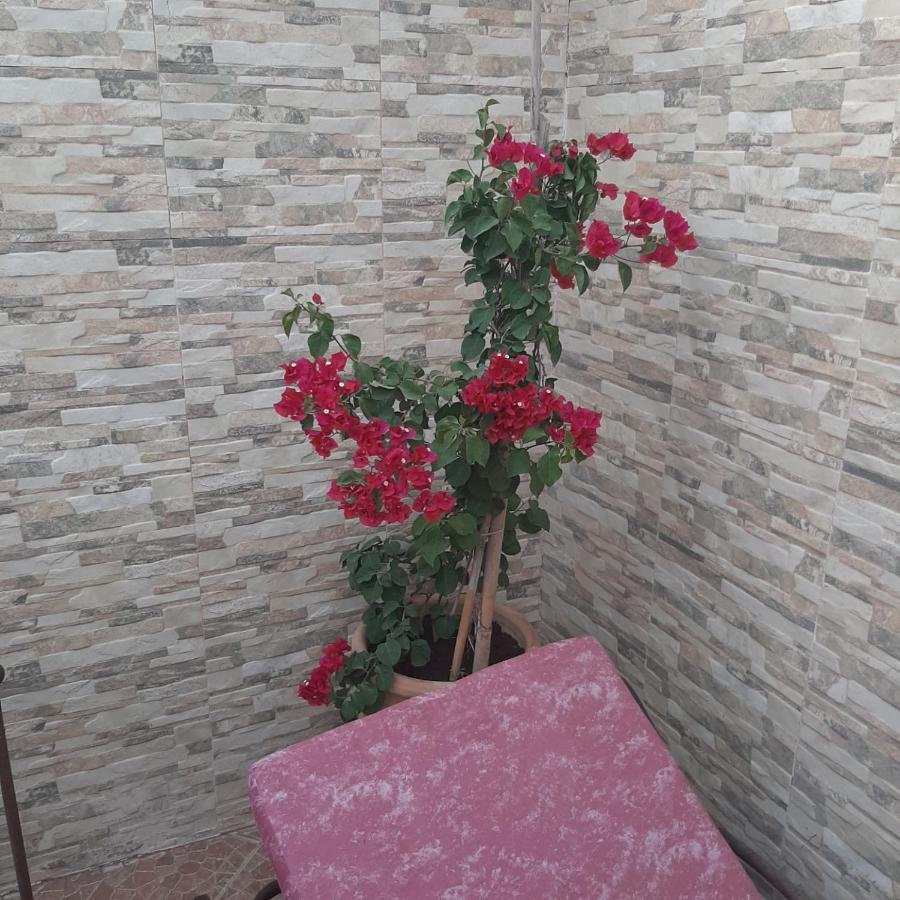Bab Almadina Apartment