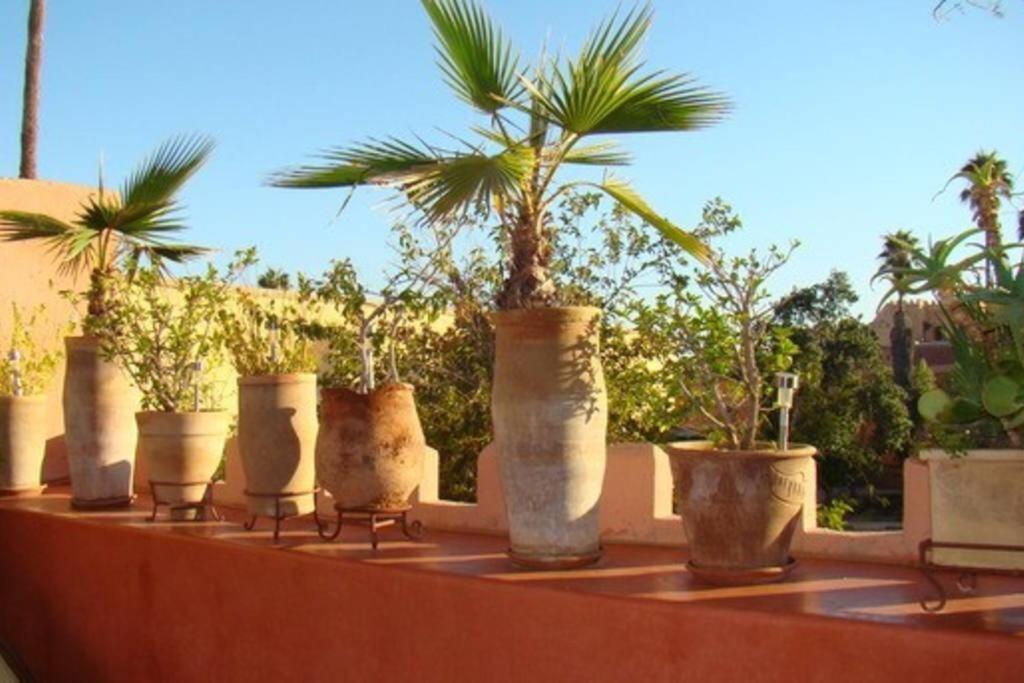 Emplacement N°1 ! Riad Ica Villa *