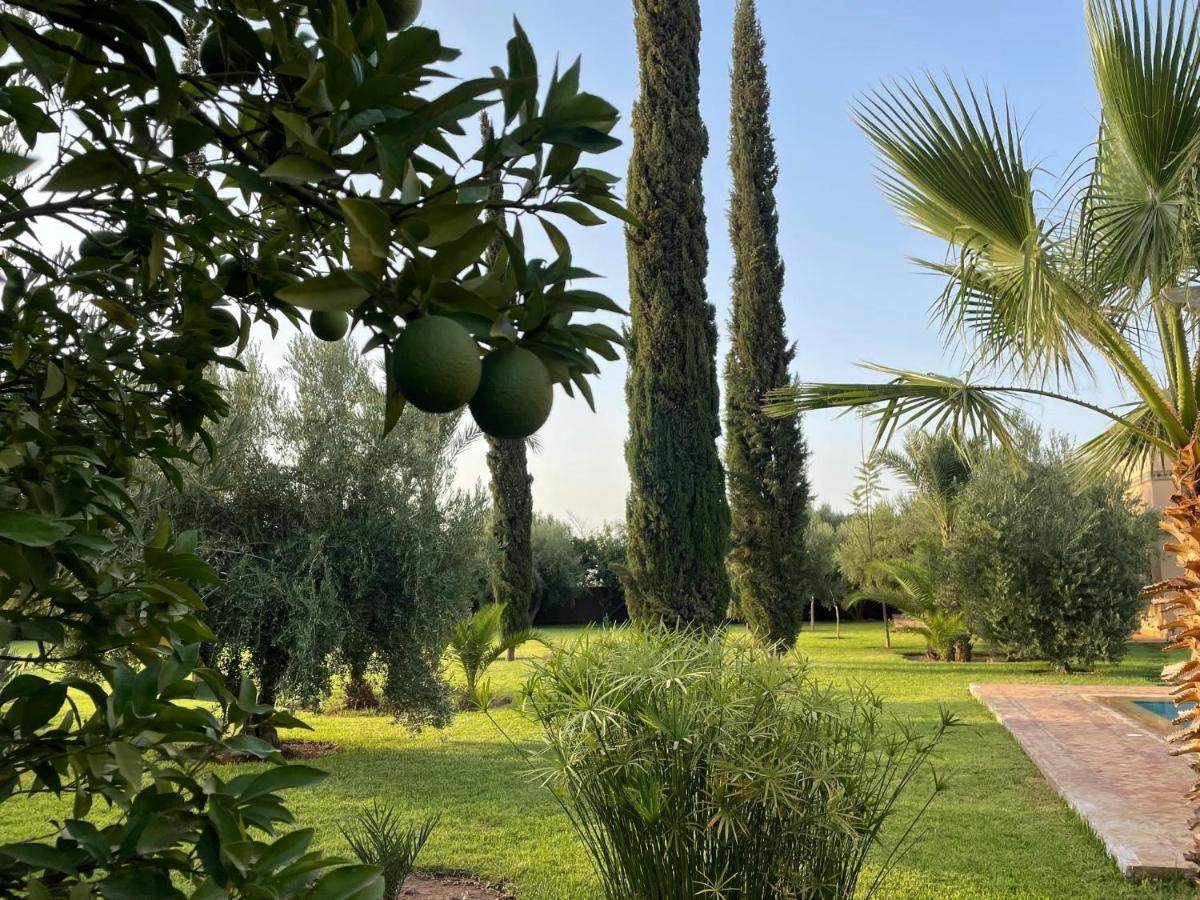 Riadi In Marrakech *