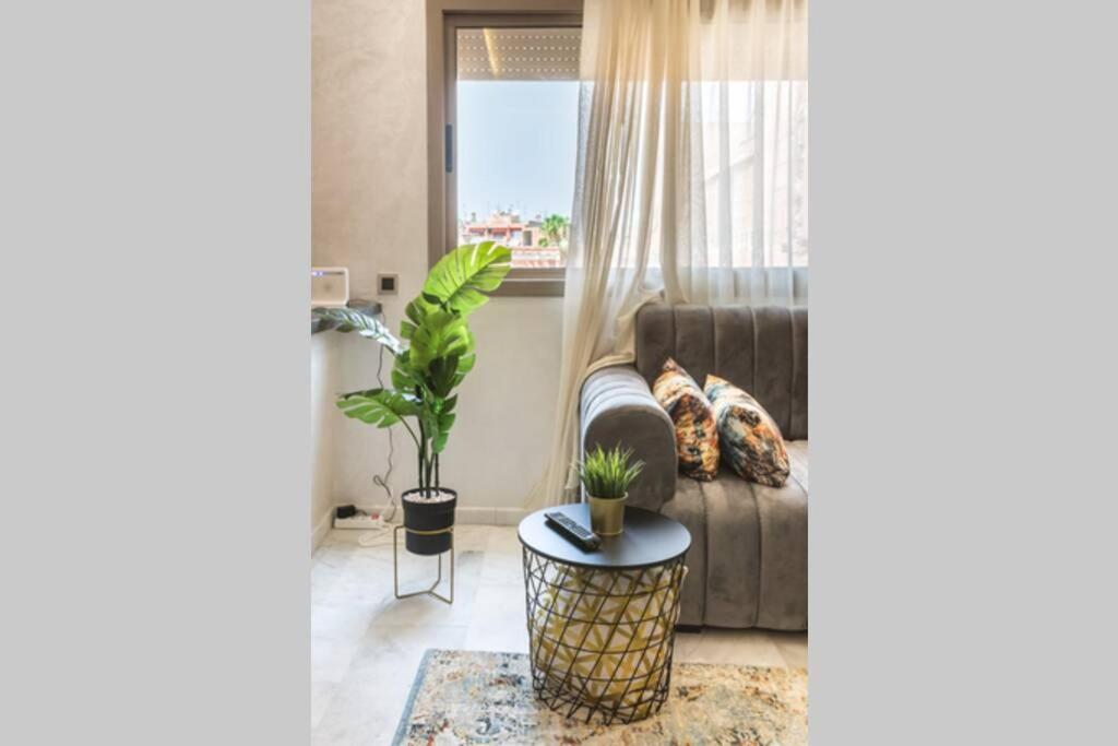 Apartment Luxury In The Heart Of Marrakech Gueliz Marrakesch