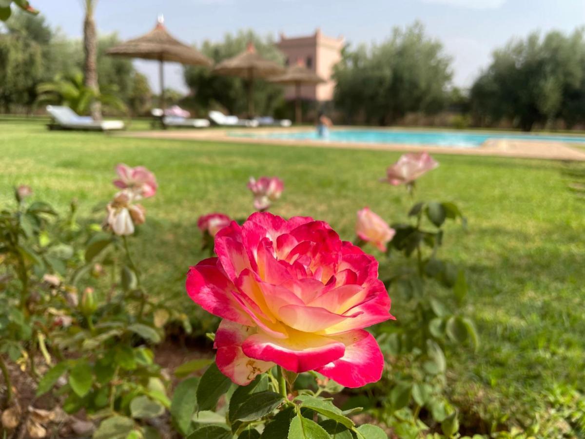 Villa Riadi In Marrakech Marrakesh