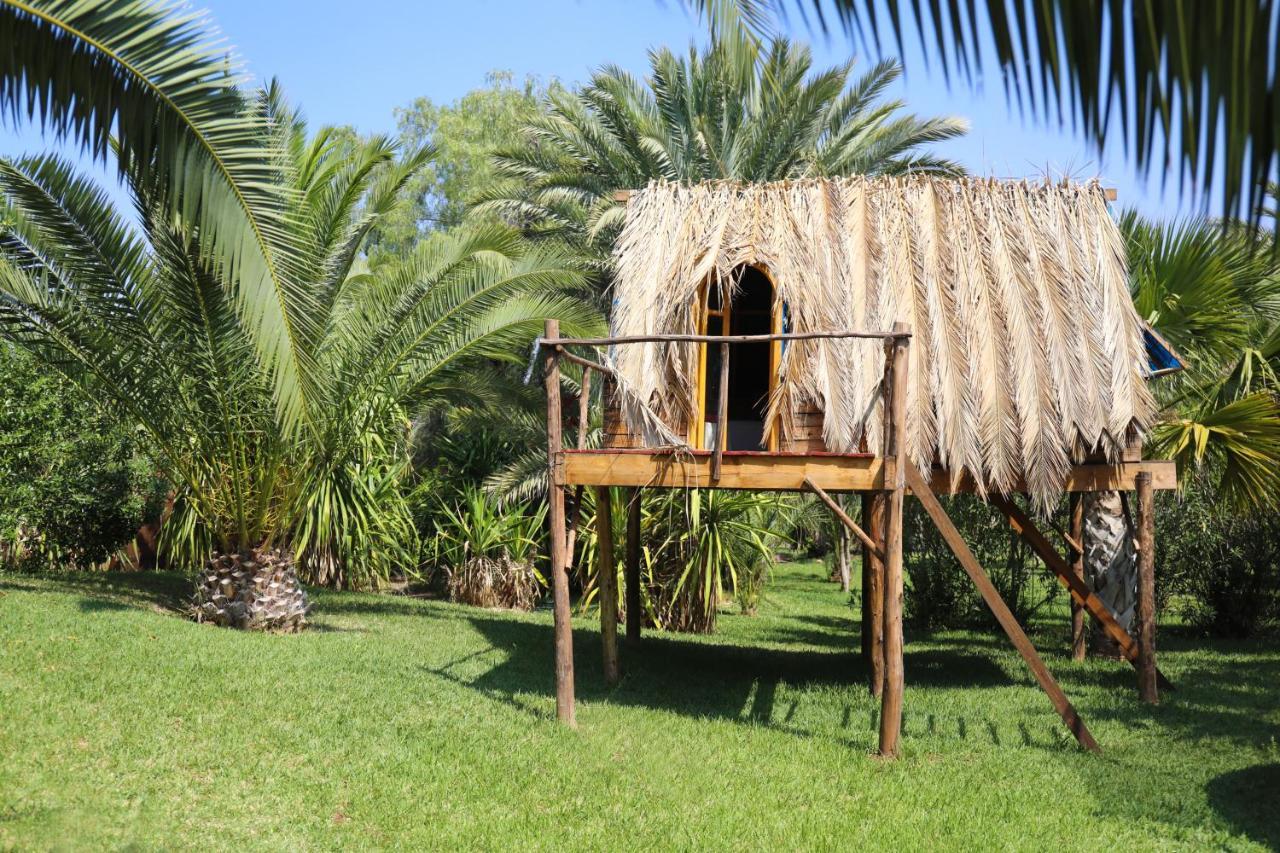 Le Perroquet Bleu Marrakesh