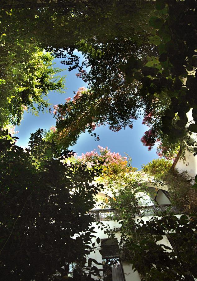 Riad Lyla Marrakesch