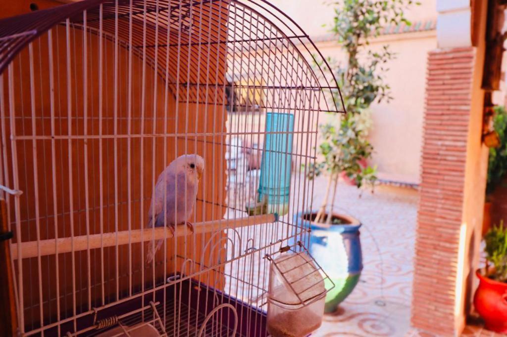 Maison d'hôtes Dar Diafa Jannat *