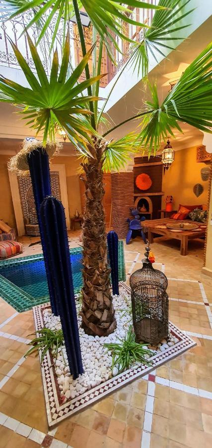 RIAD DAR-CACTUS-BLEU, un écrin dans la médina *