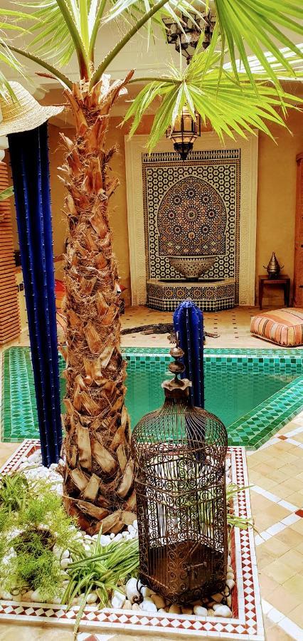 RIAD DAR-CACTUS-BLEU, un écrin dans la médina Hébergement de vacances