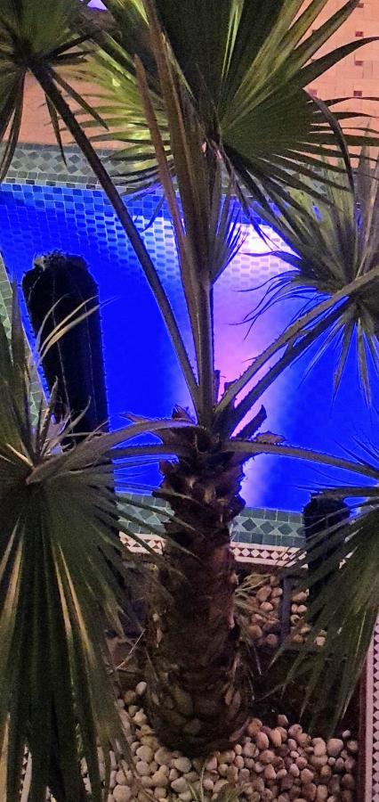 RIAD DAR-CACTUS-BLEU, un écrin dans la médina * Marrakesh