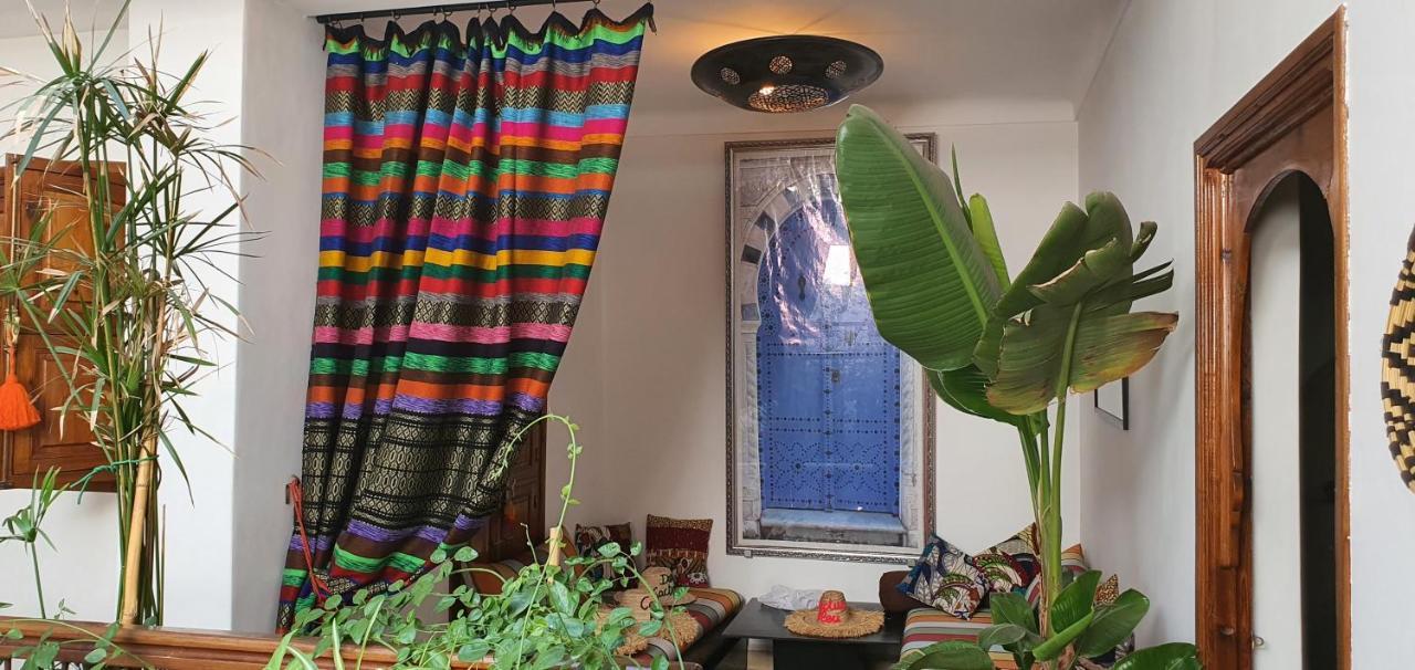 RIAD DAR-CACTUS-BLEU, un écrin dans la médina Hébergement de vacances