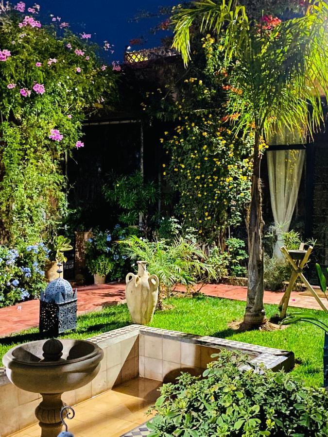 Terracota Marrakesh