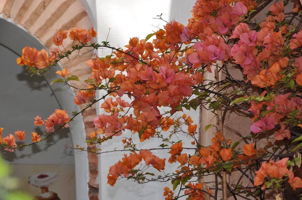 Gasthuis Dar Ganou Marrakesh
