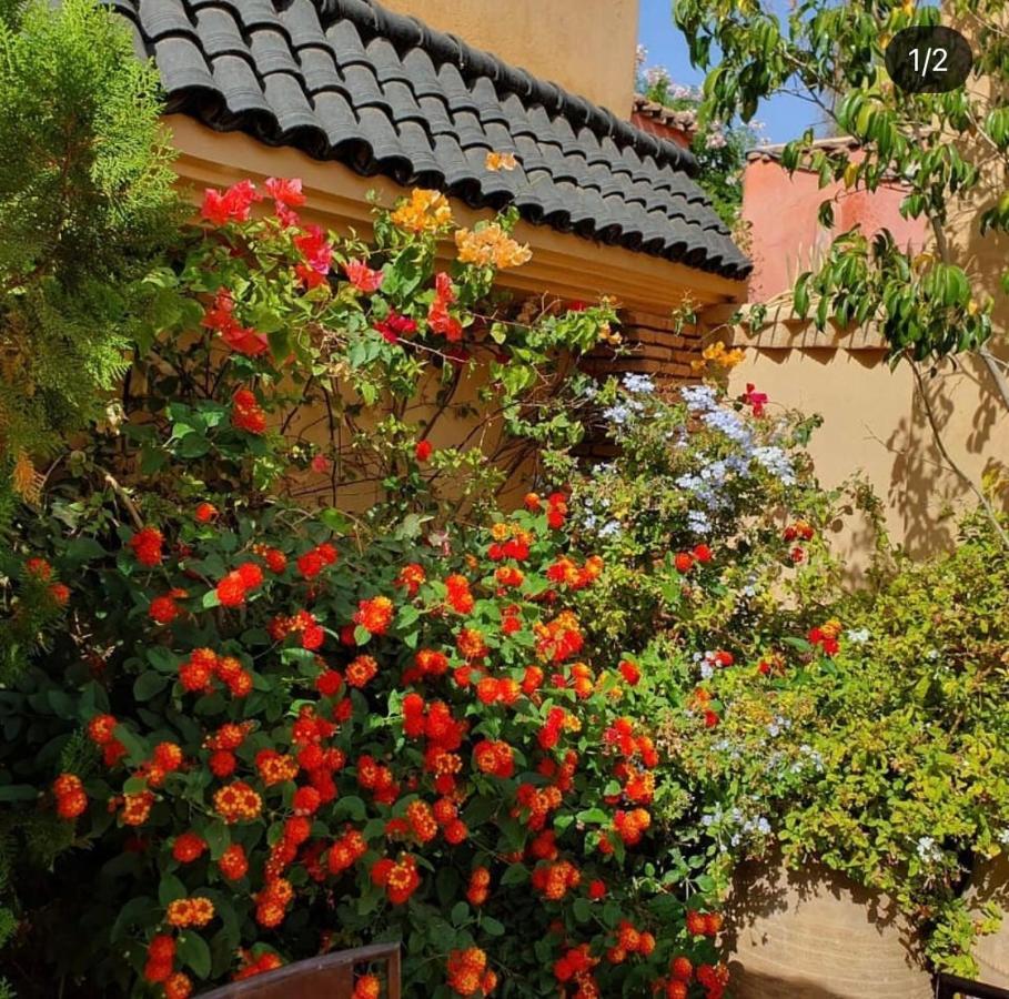 Zouhour Gasthuis