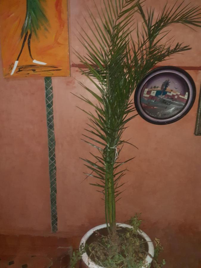 Hanafi Marrakesh