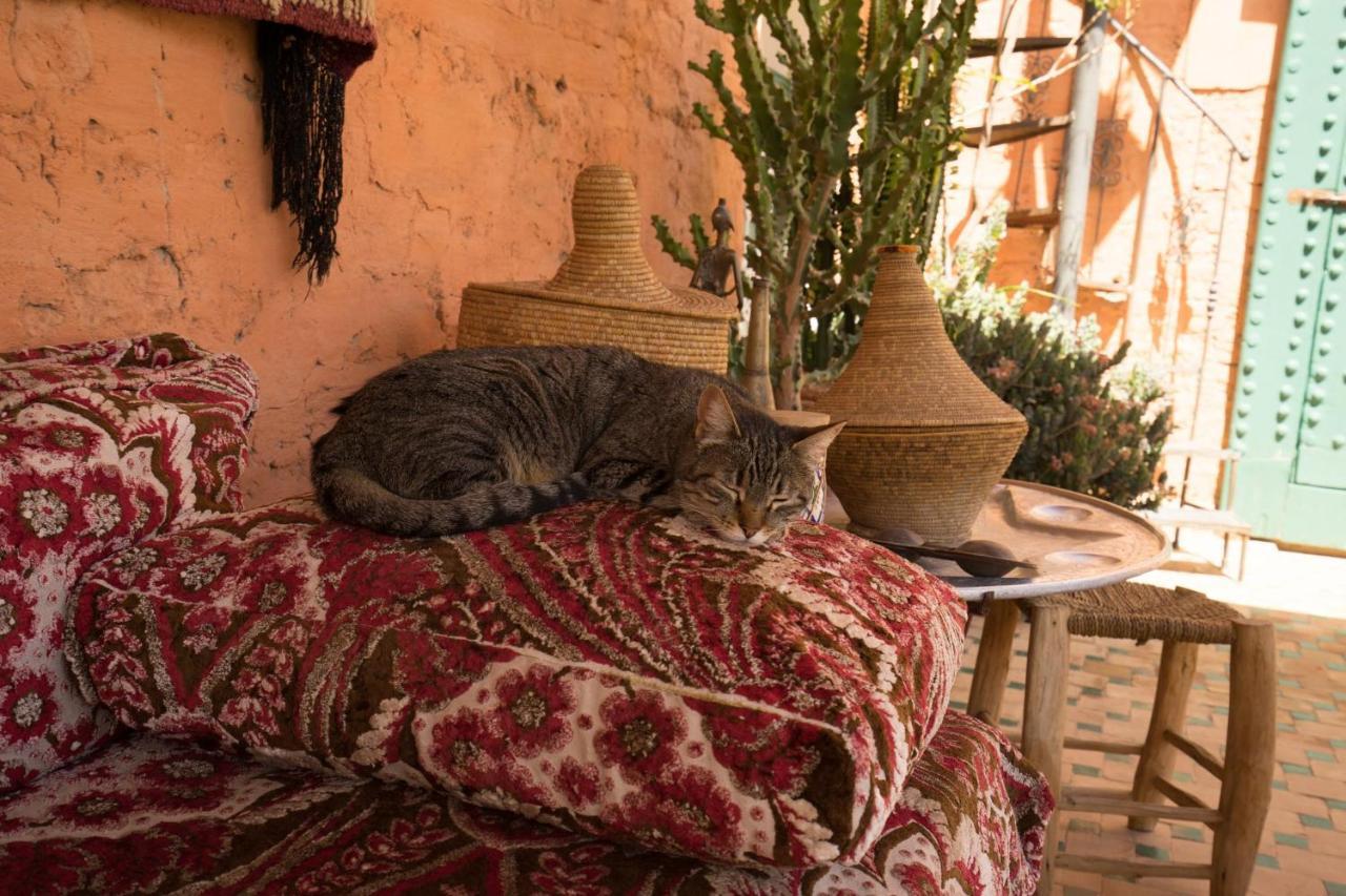 Dar Kleta Riad 3*